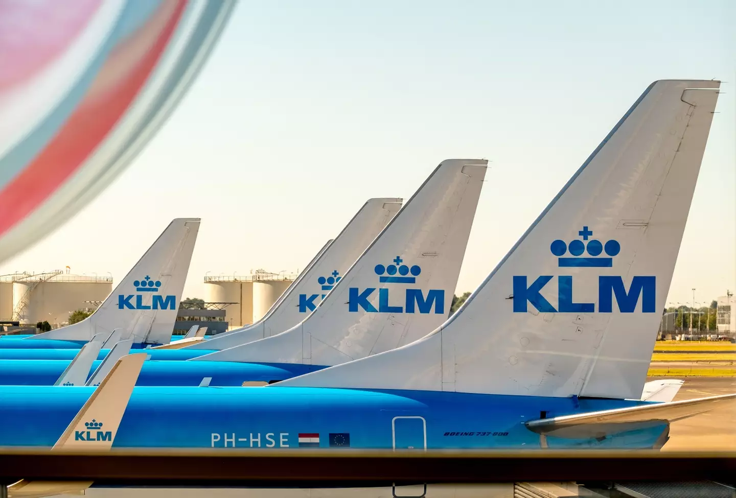Two KLM flights arrived from South Africa yesterday.