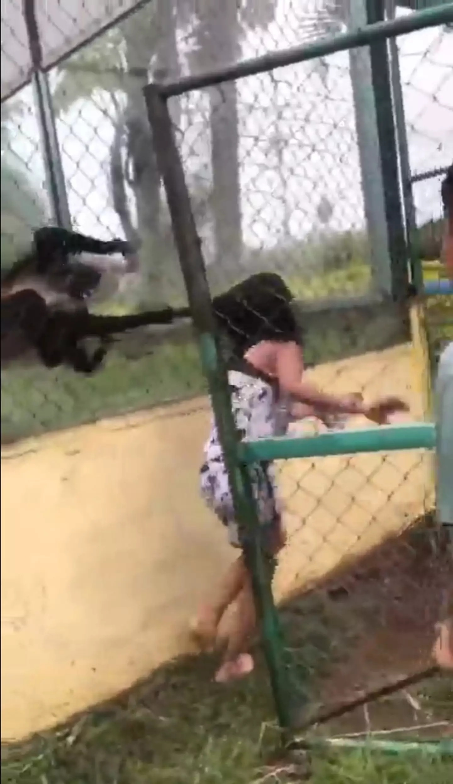 The monkeys were able to grab the girl again as she walked past their enclosure.