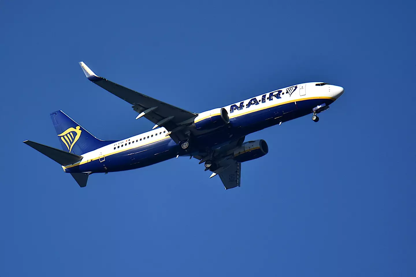 The Ryanair flight eventually returned to get the passenger and her companion.