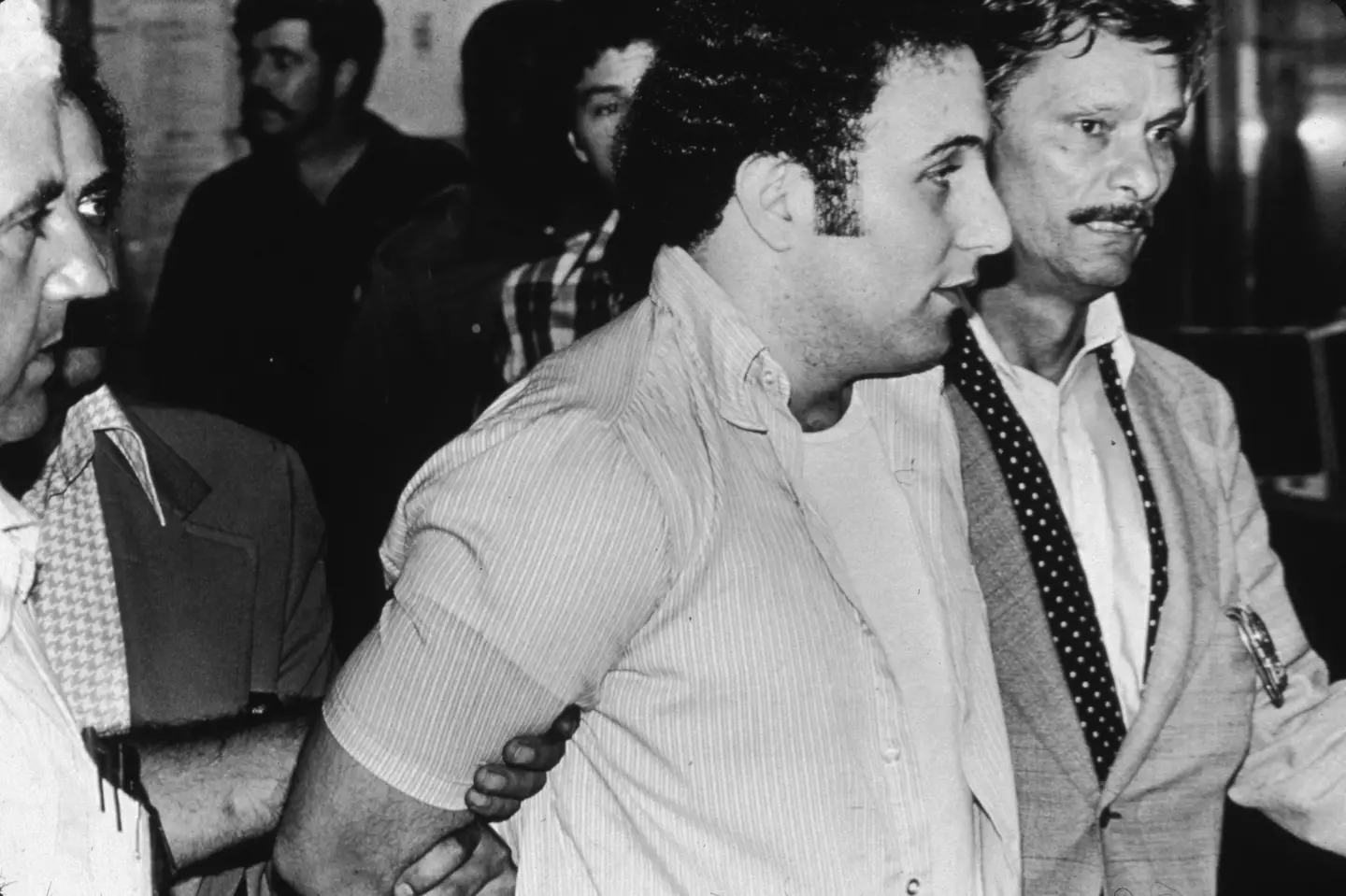 The Son of Sam when he was arrested in 1977 (Fred R. Conrad via Getty Images)