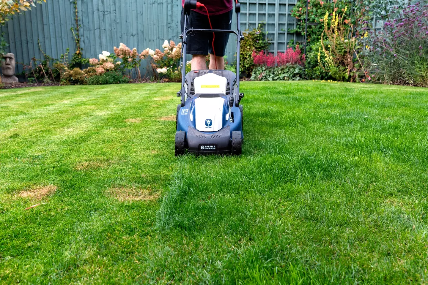 People are being encouraged not to mow their lawns next month.