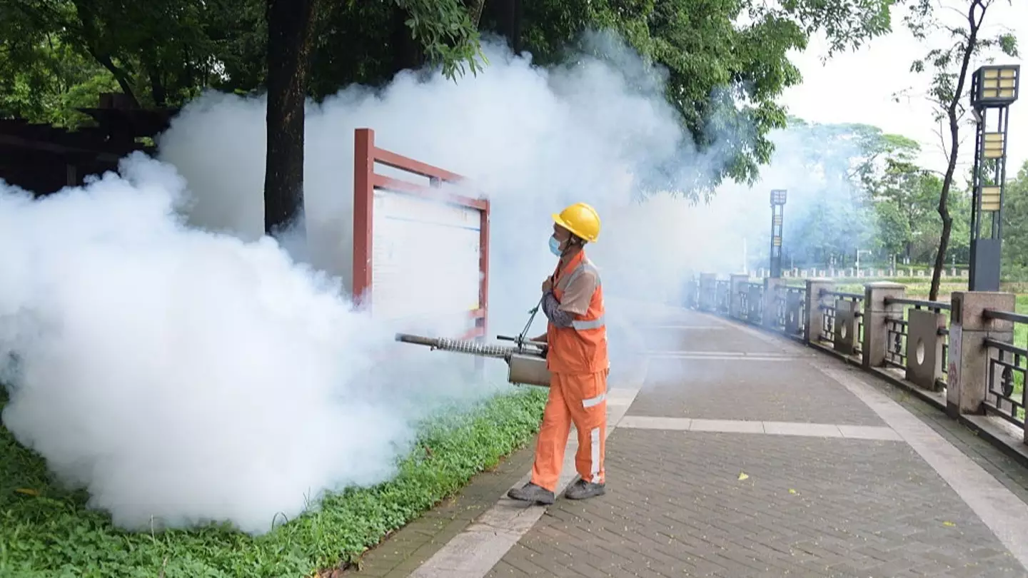 What World Health Organization has said about Chikungunya virus as China introduces 'pandemic measures'