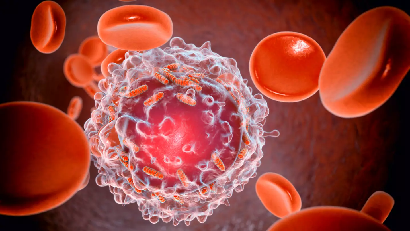 NHS cancer patients to receive 'Trojan horse' treatment that gives people years longer to live