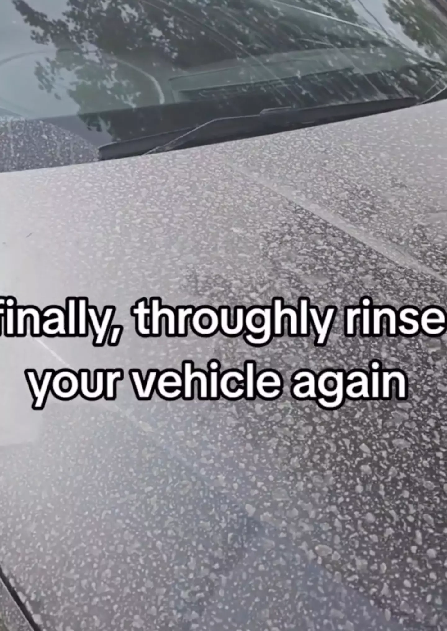 Take care if you're cleaning the dust off your motor.