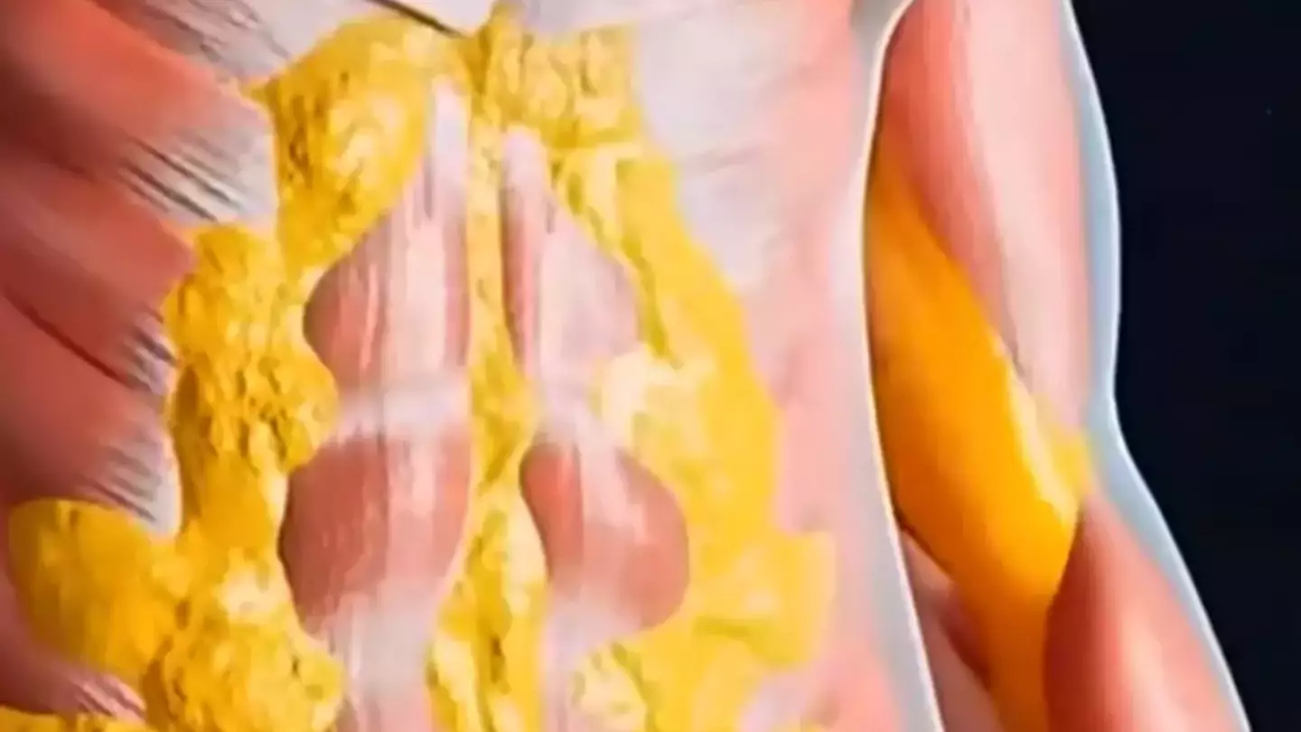 All health benefits of fasting for 36 hours to achieve 'full reset' following jaw-dropping simulation