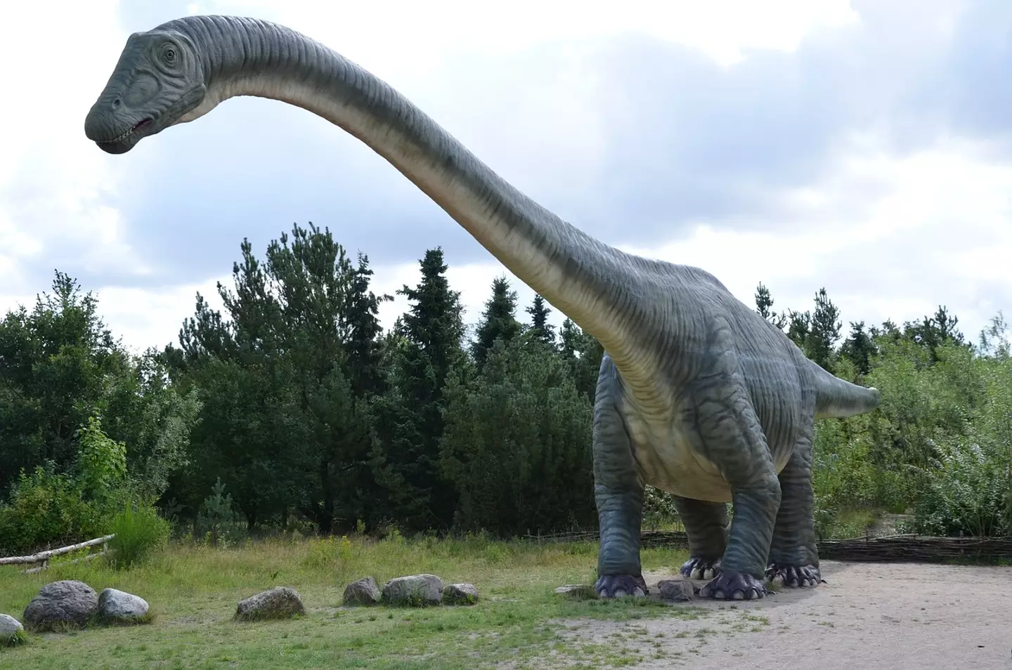 A gorgosaur will eat massive herbivores when they reach adulthood.