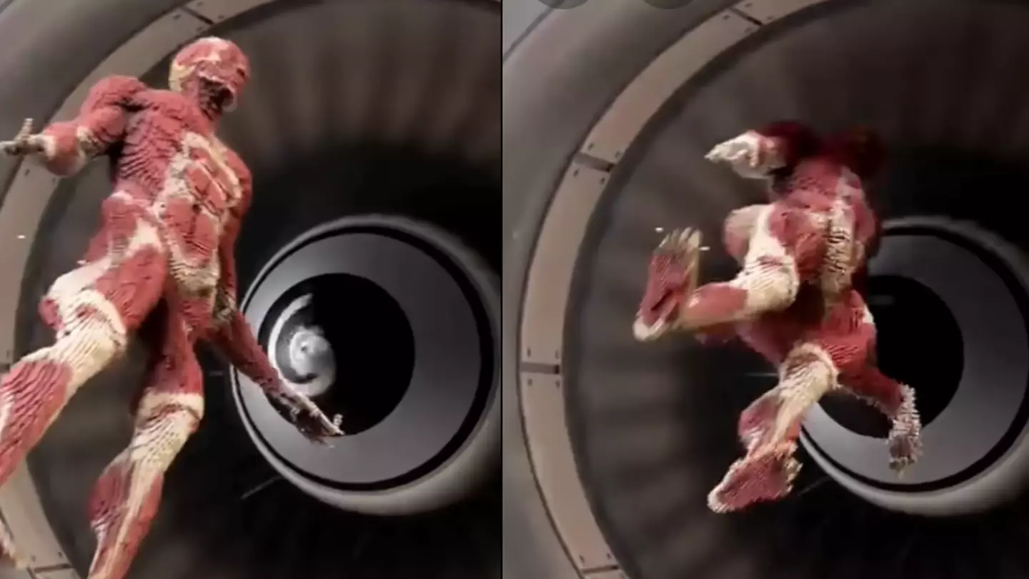 Horrifying simulation shows what would happen if you were sucked into a jet engine