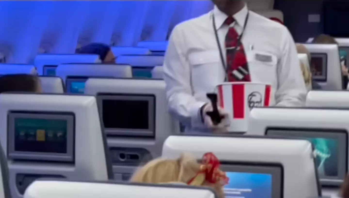 Passengers were reportedly handed 'one piece' of chicken each.