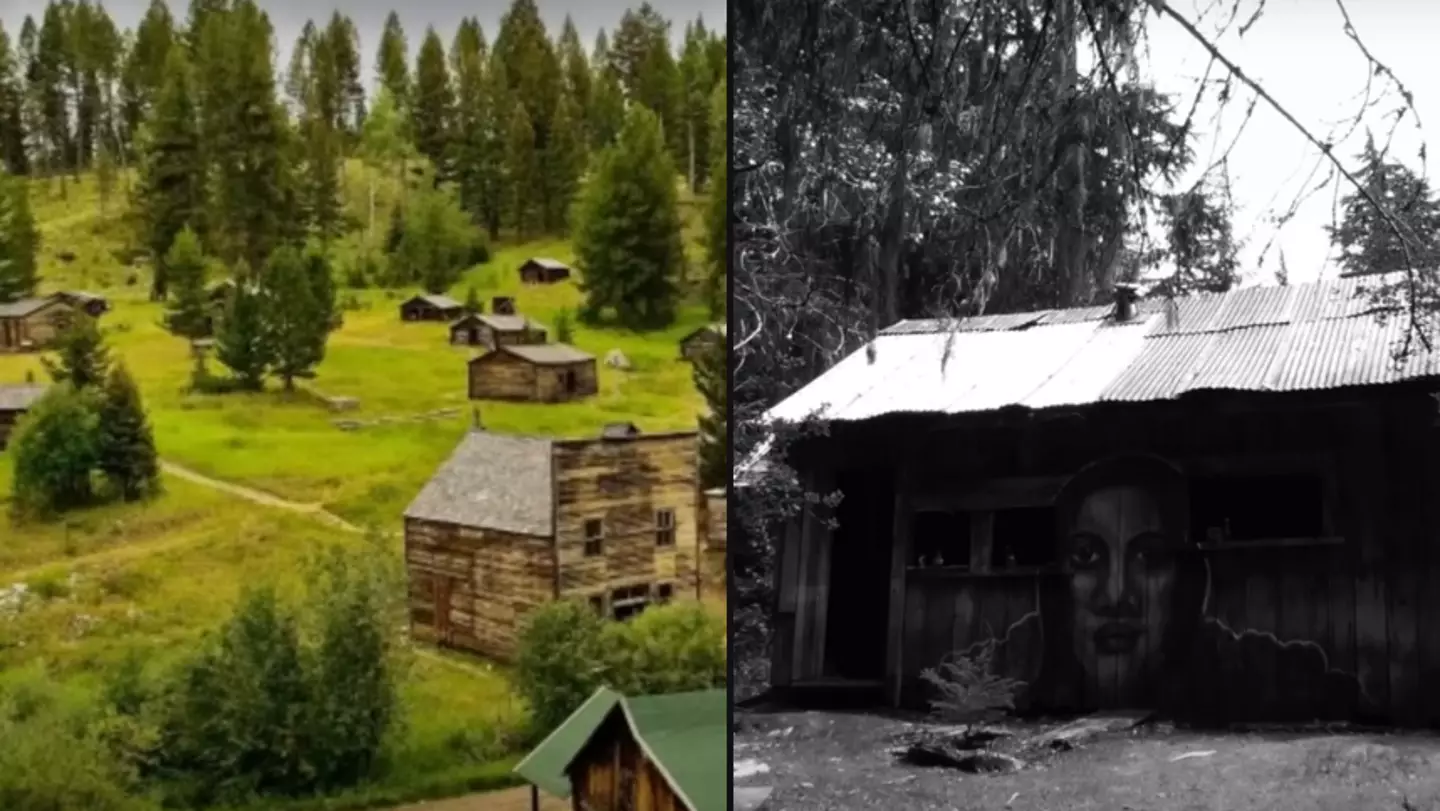 Completely abandoned 'haunted' forest is so sinister it's actually illegal to visit