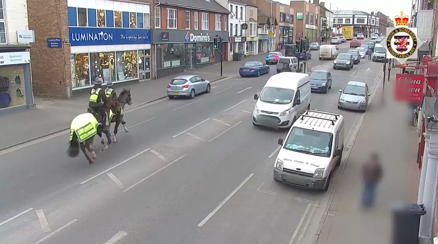 Here comes the cavalry. Credit Twitter/Avon and Somerset Roads Policing