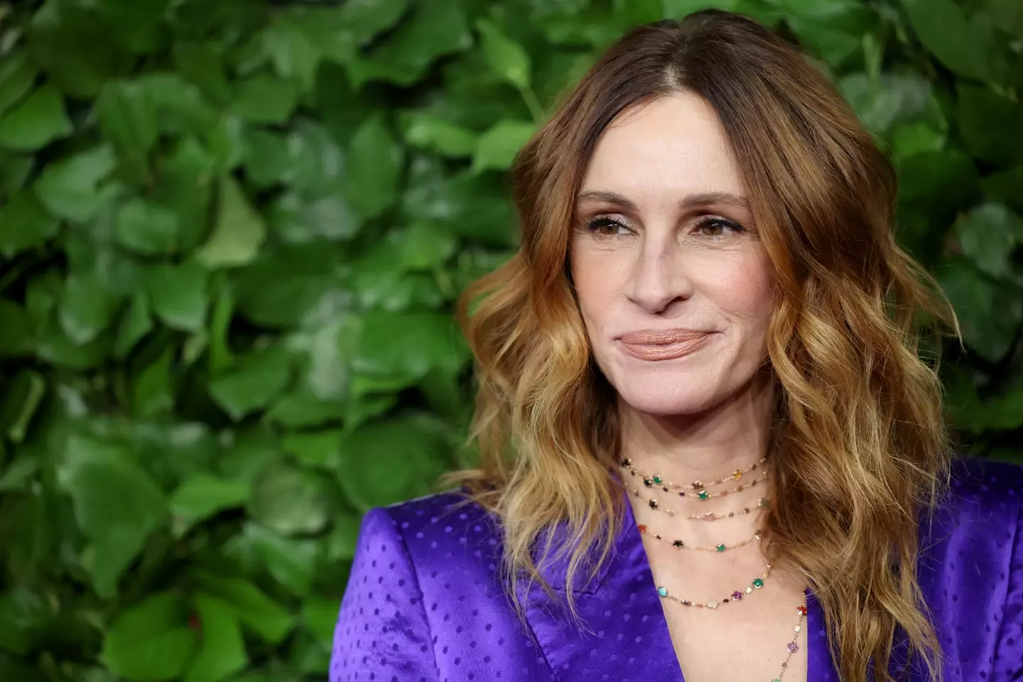 Julia Roberts is the one celeb that Glaser is going to steer clear of roasting (Mike Coppola/Getty Images for The Gotham Film & Media Institute)