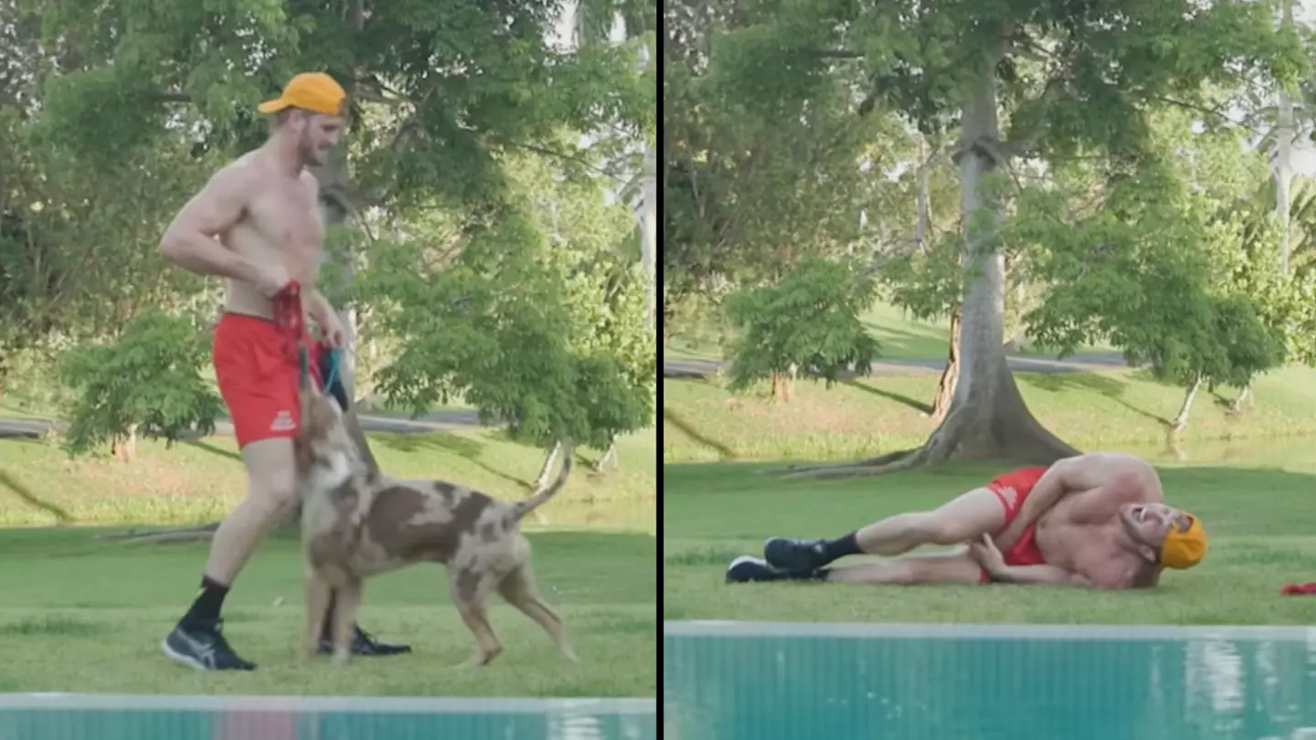 Logan Paul’s Dog Hits Him Square In The Balls While Filming A Workout Video