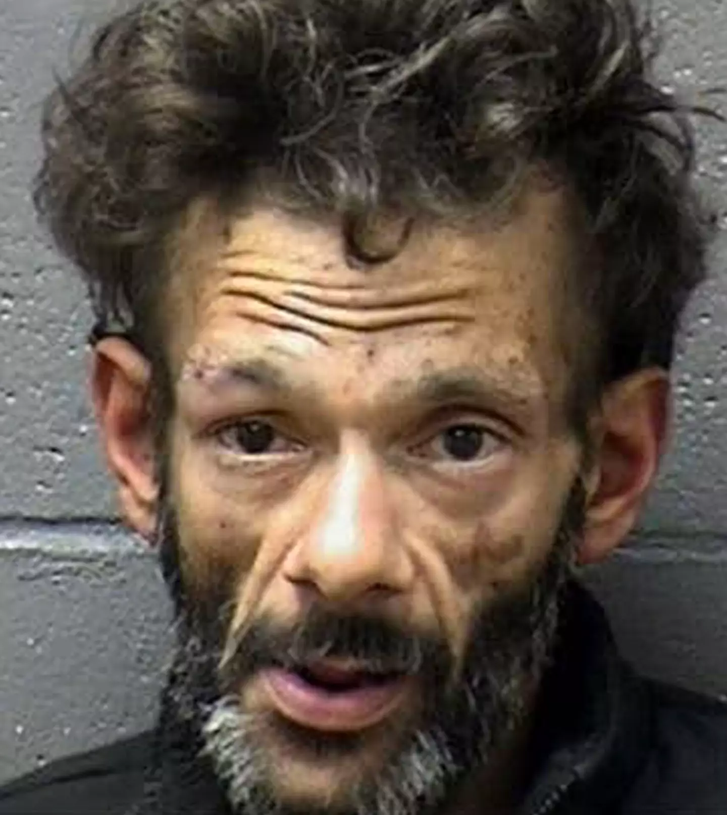 Shaun Weiss poked fun at his own mugshot, taken in January 2020 after his arrest for burglary.