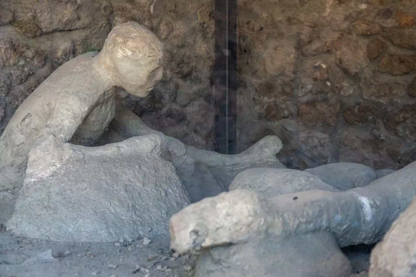 The new study explains why the Pompeiians were 'frozen in suspended actions'.
