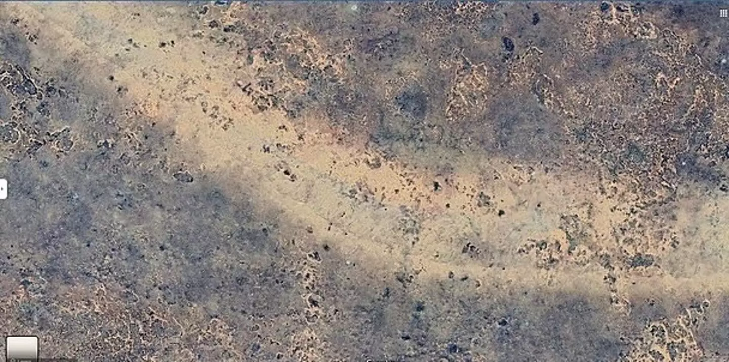 Scientists were 'intrigued' by the find (Google)
