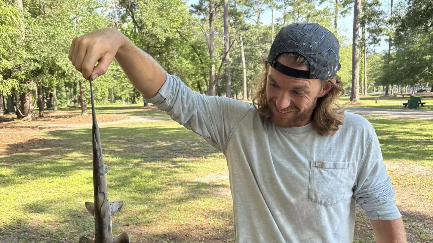 Man left completely stunned as hammerhead shark falls out of the sky in real life 'sharknado'