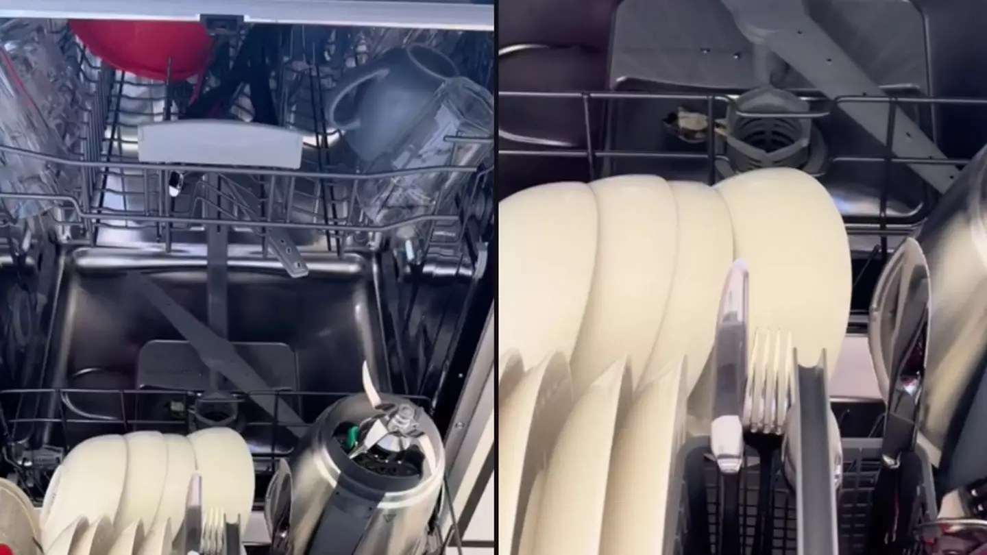 Woman told to ‘burn’ dishwasher after making shocking discovery inside