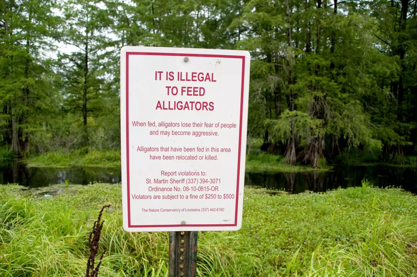 Heed the warnings, folks.