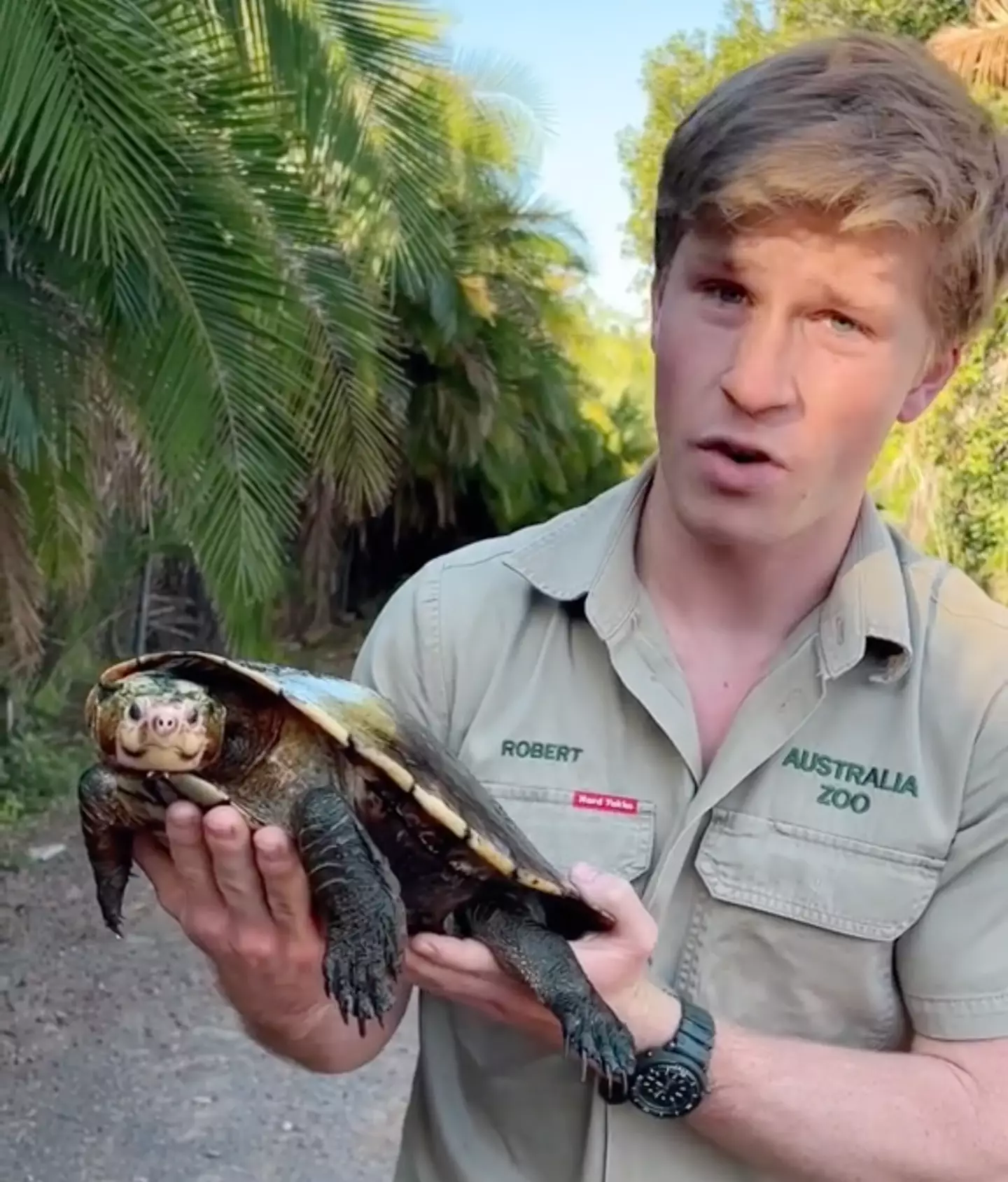 Robert Irwin with the Irwin's turtle.
