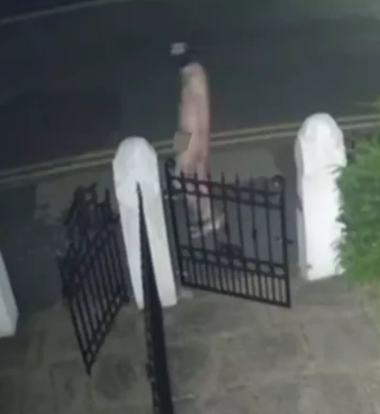 It's not quite what you expect when you wake up and check your cameras in the morning. (Facebook)