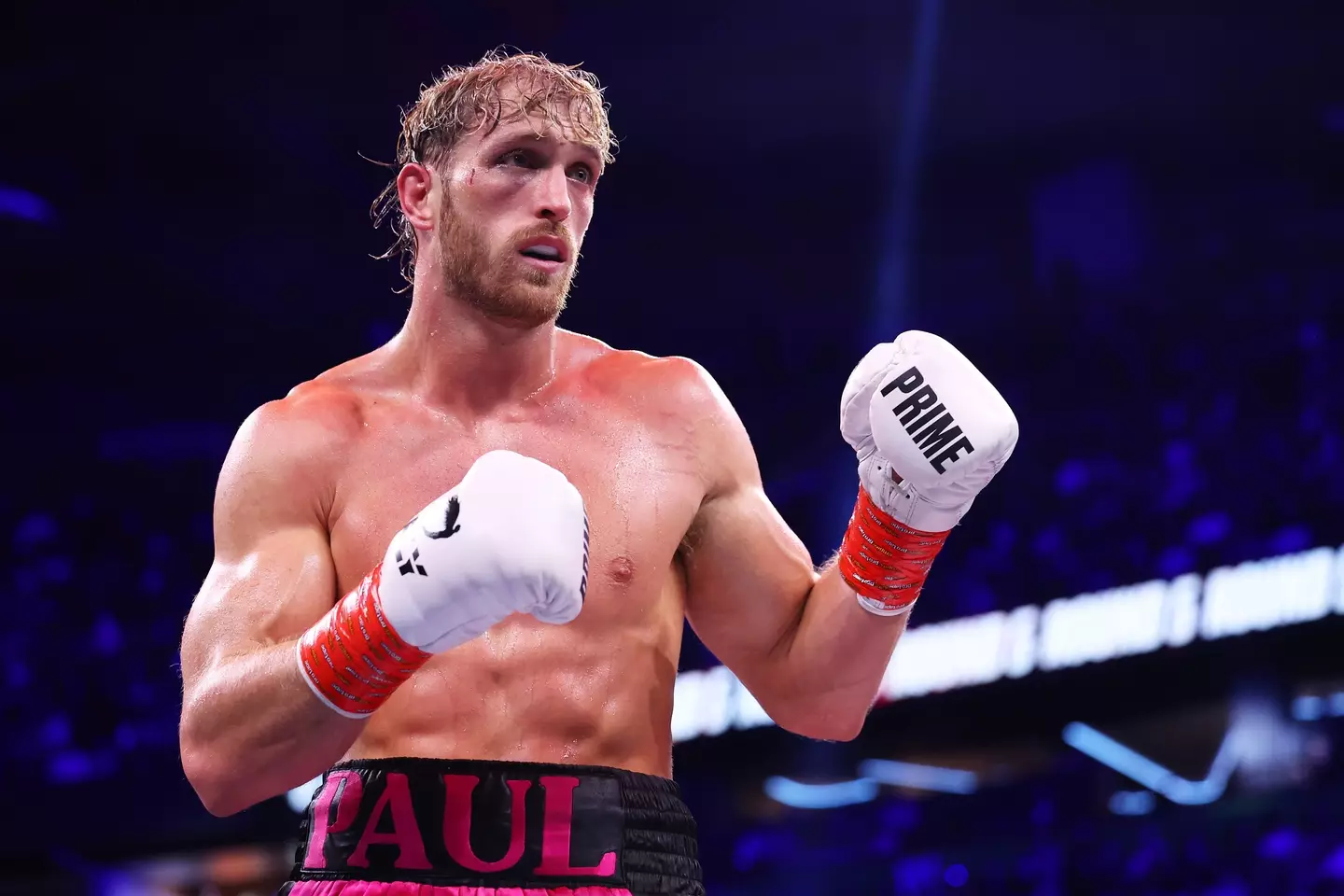 Logan Paul has a 1-1 professional boxing record after a win against Dillon Danis and loss to KSI (Matt McNulty/Getty Images)