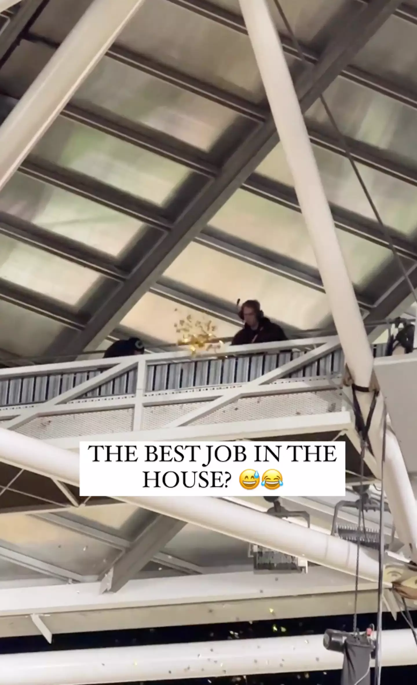 The weirdly specific gig has captured the attention of fans.