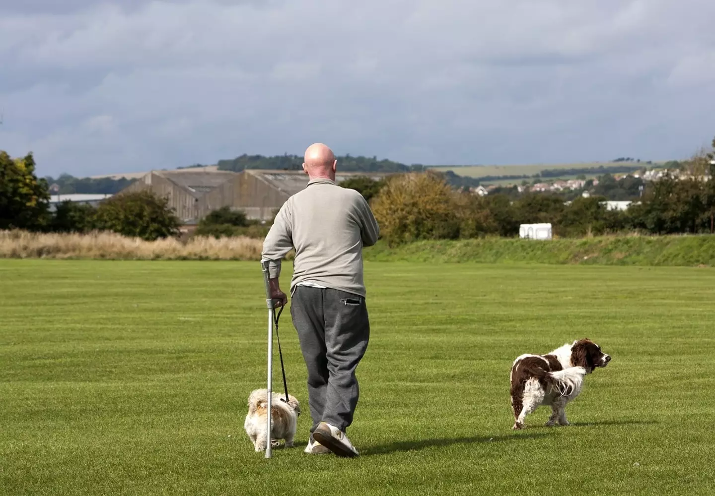 Dog walkers are being urged to dig poo bags by a new campaign.