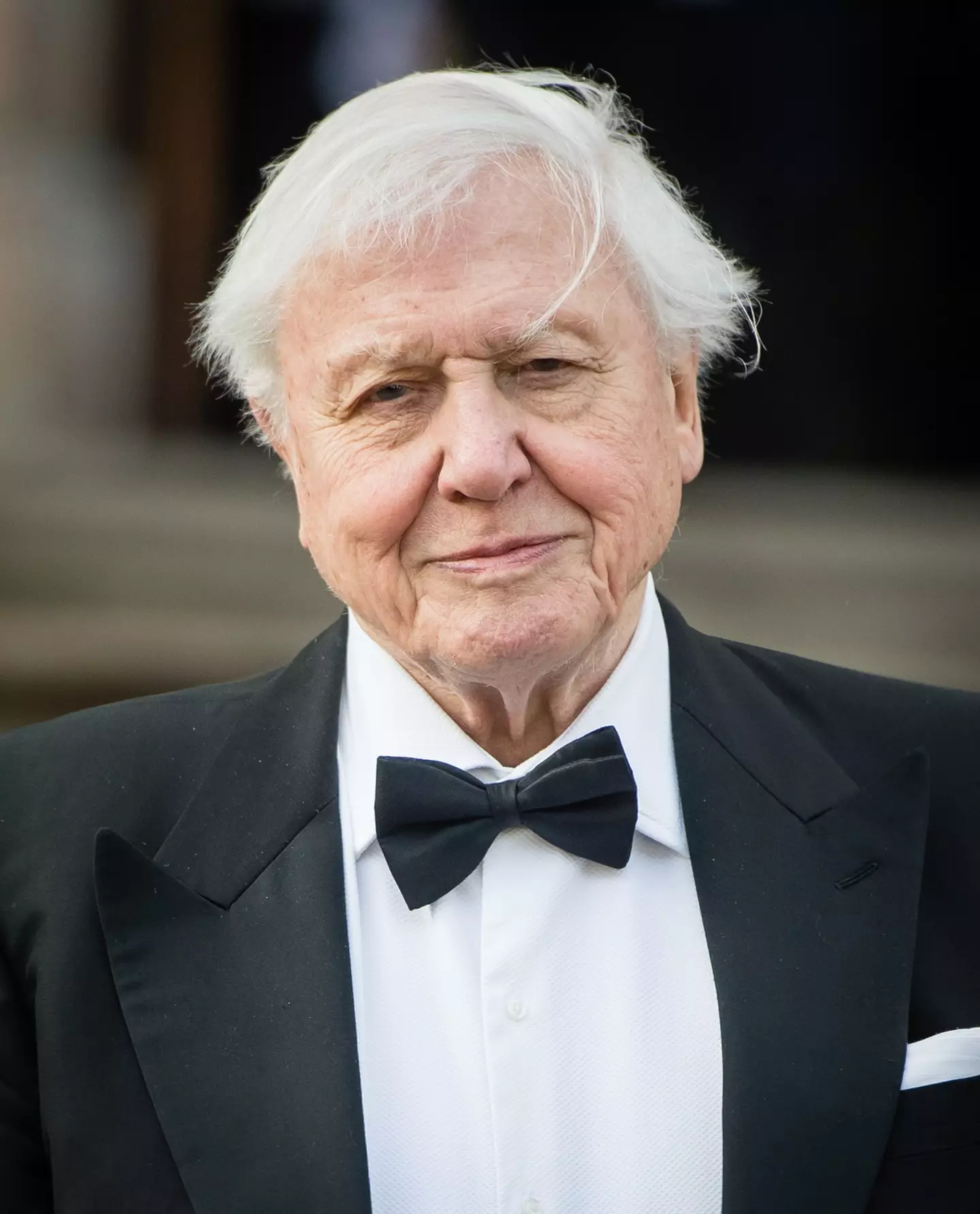 Sir David Attenborough has always stood firm on his stance of not intervening with nature.