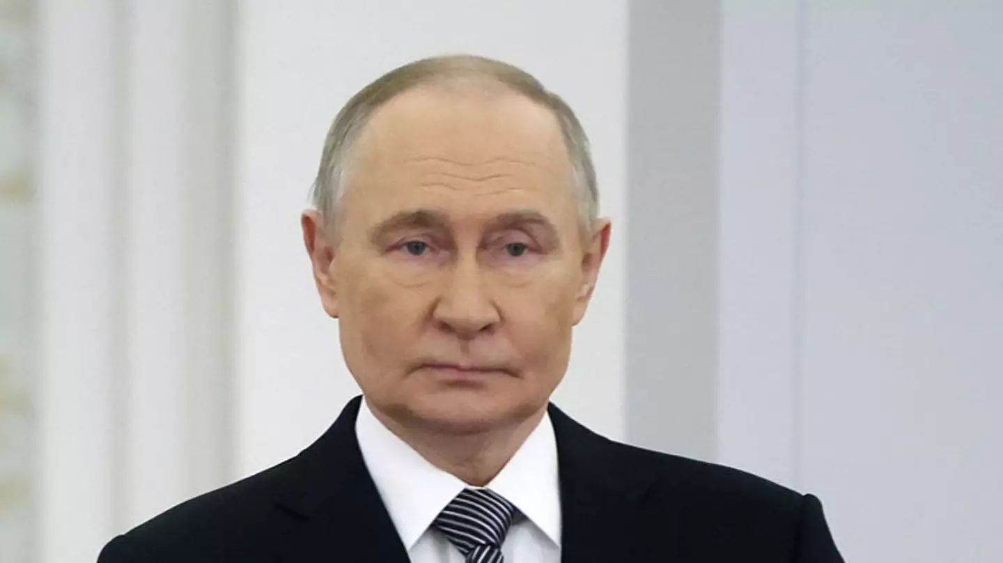 Contributor/Getty Images