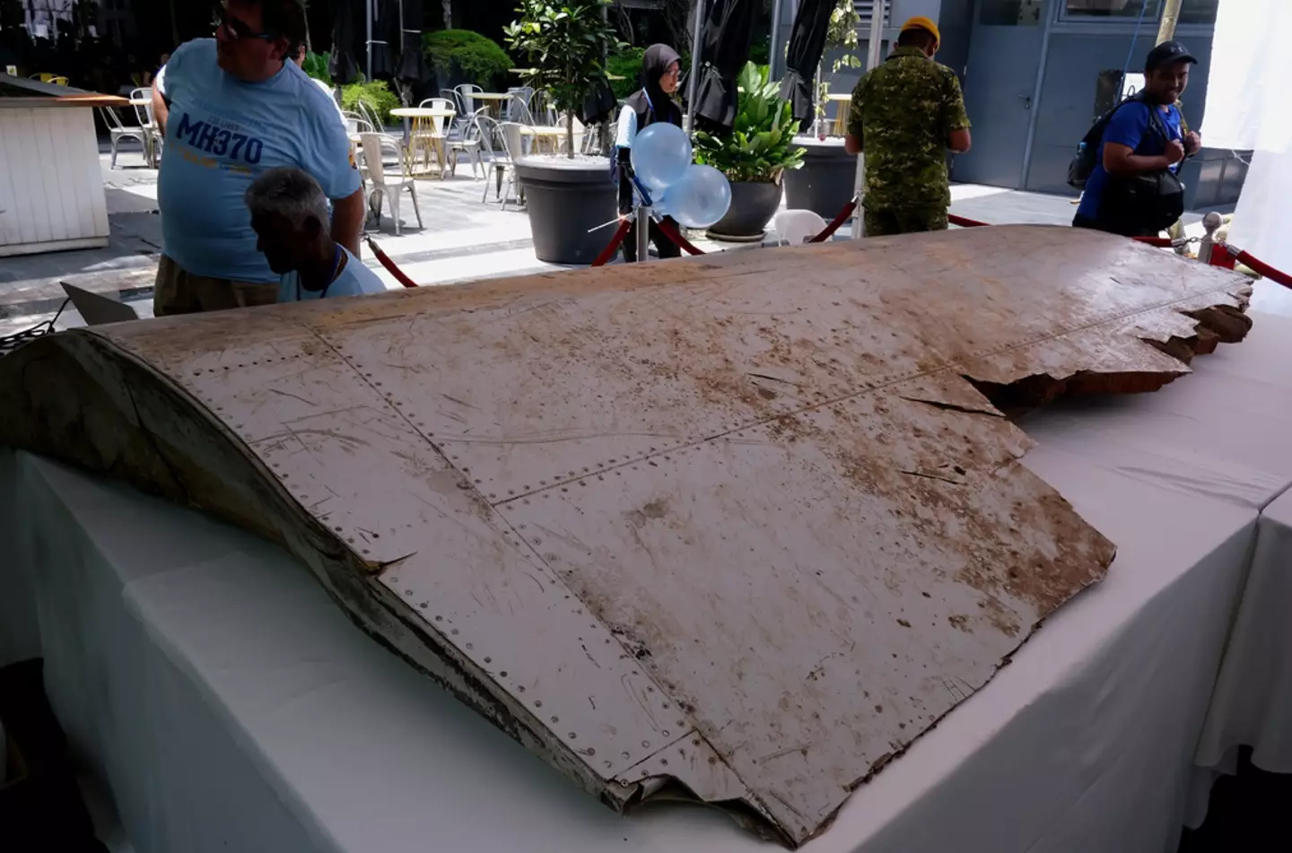 The expert believes there was criminal intent.