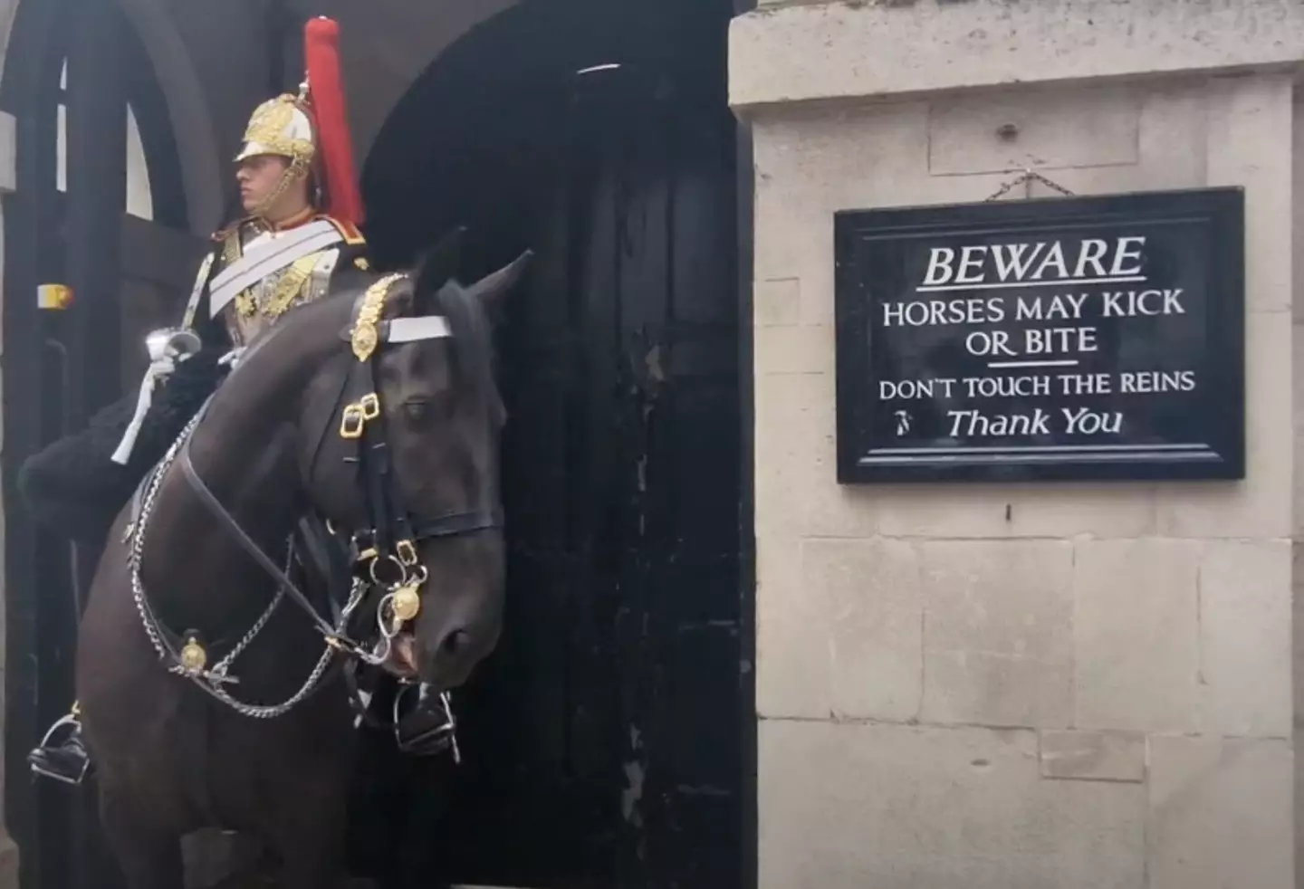 A warning sign is displayed clearly for tourists to read. (YouTube/busk1976)