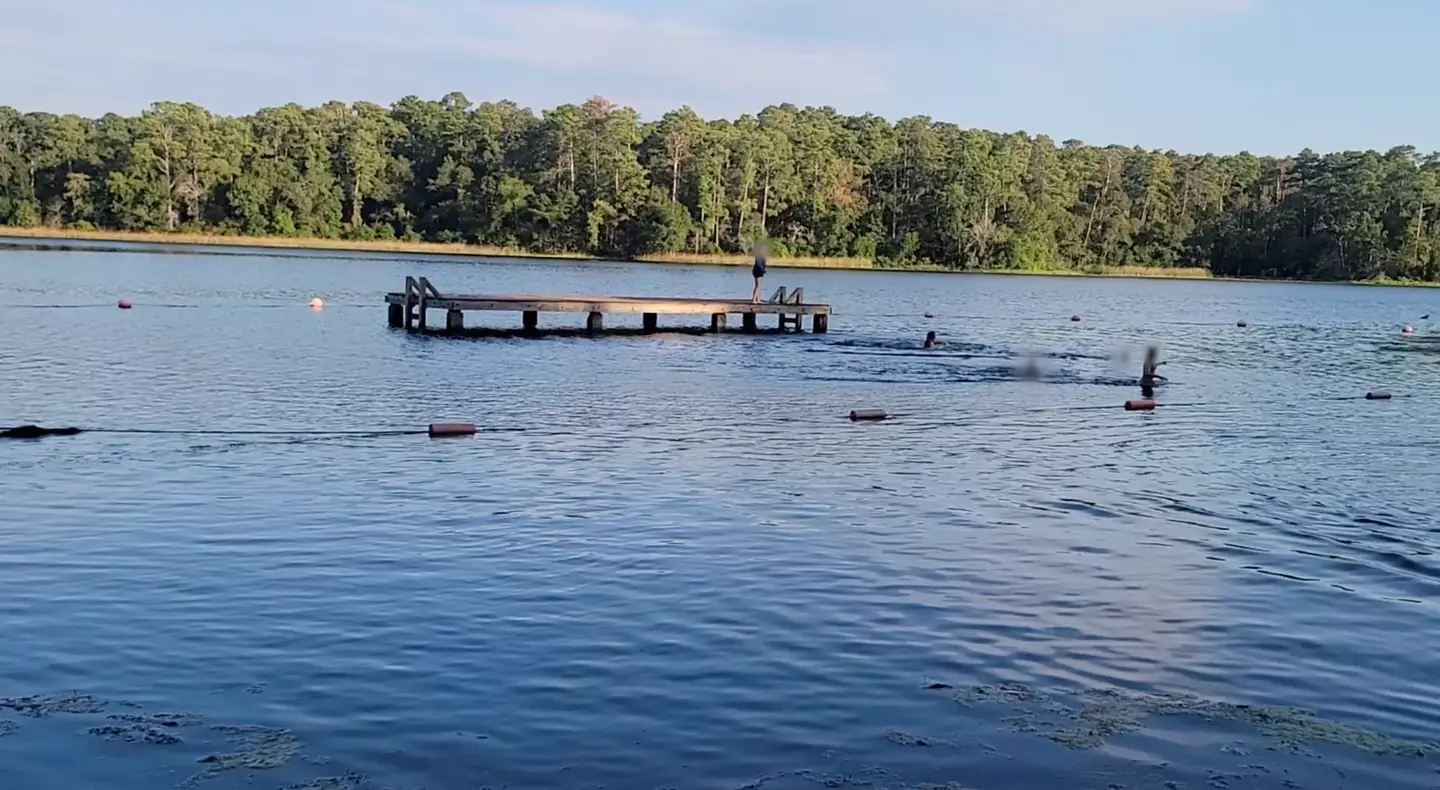 The massive alligator was seen heading towards the swimmers.