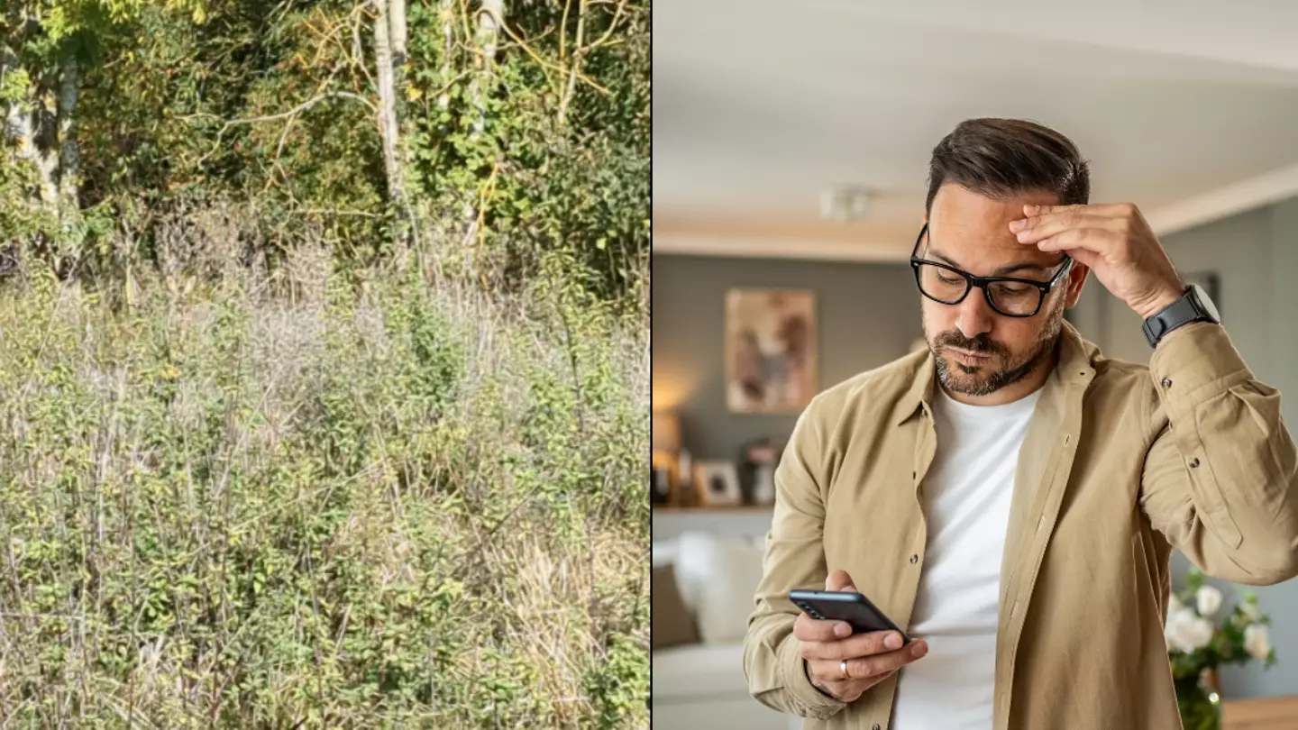 People told they have 'vision of a sniper' if they can spot hidden deer in forest