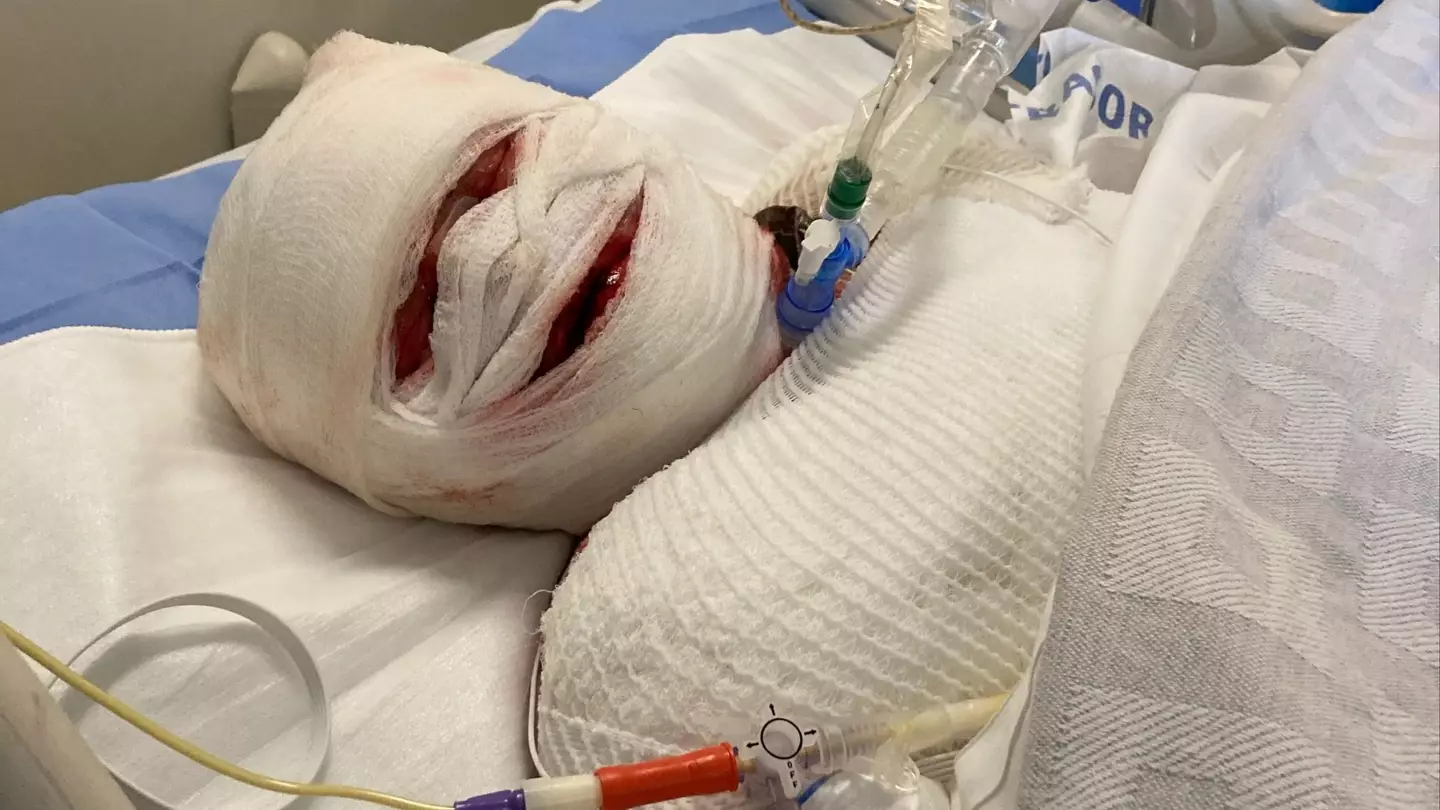 Kennedy News and Media