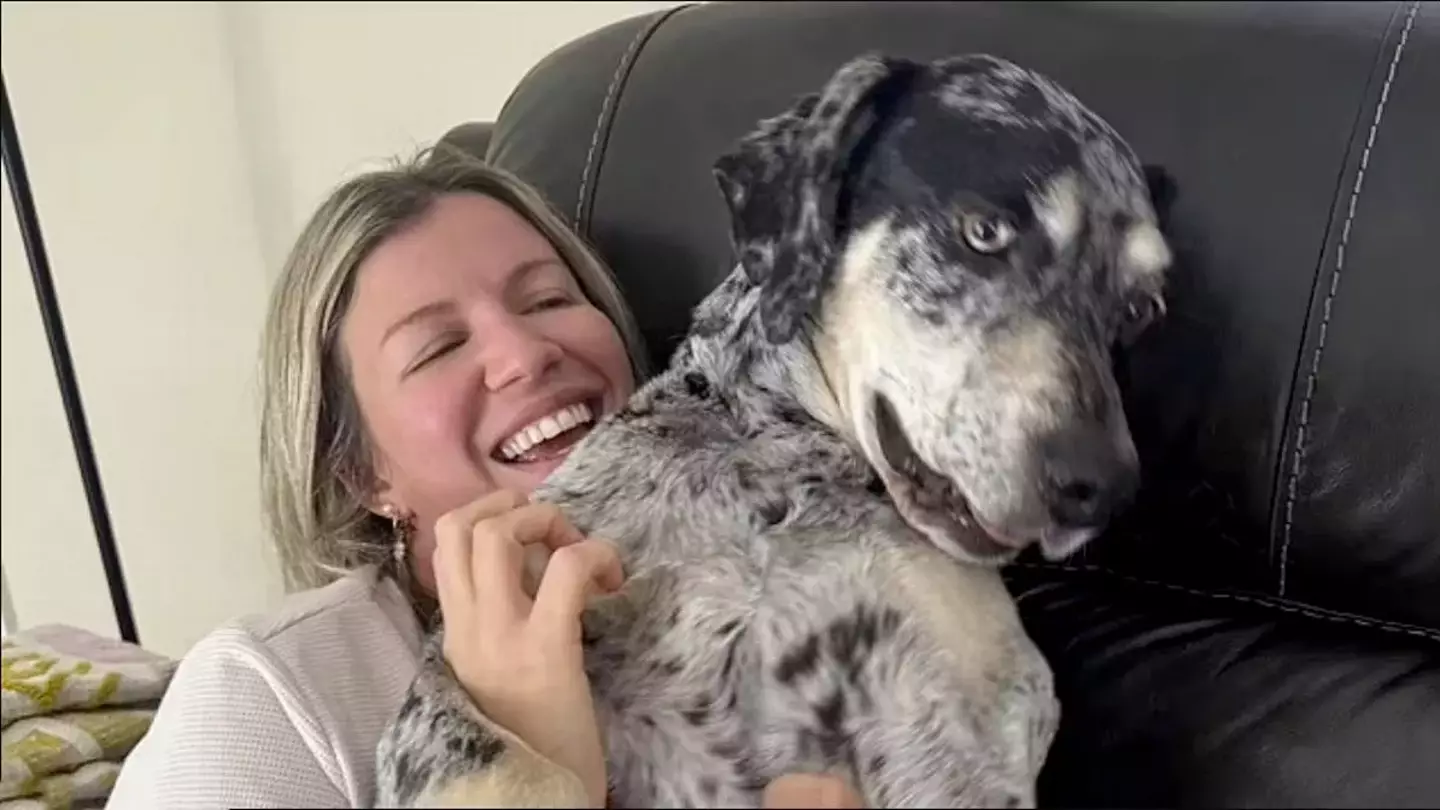 Woman reveals horrific injuries after beloved dog of 11 years bites her nose off in ‘unprovoked attack’