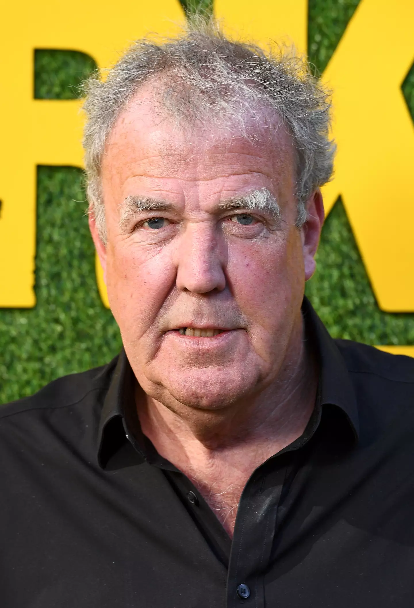 Jeremy Clarkson provided a voice in the 2006 film Cars.