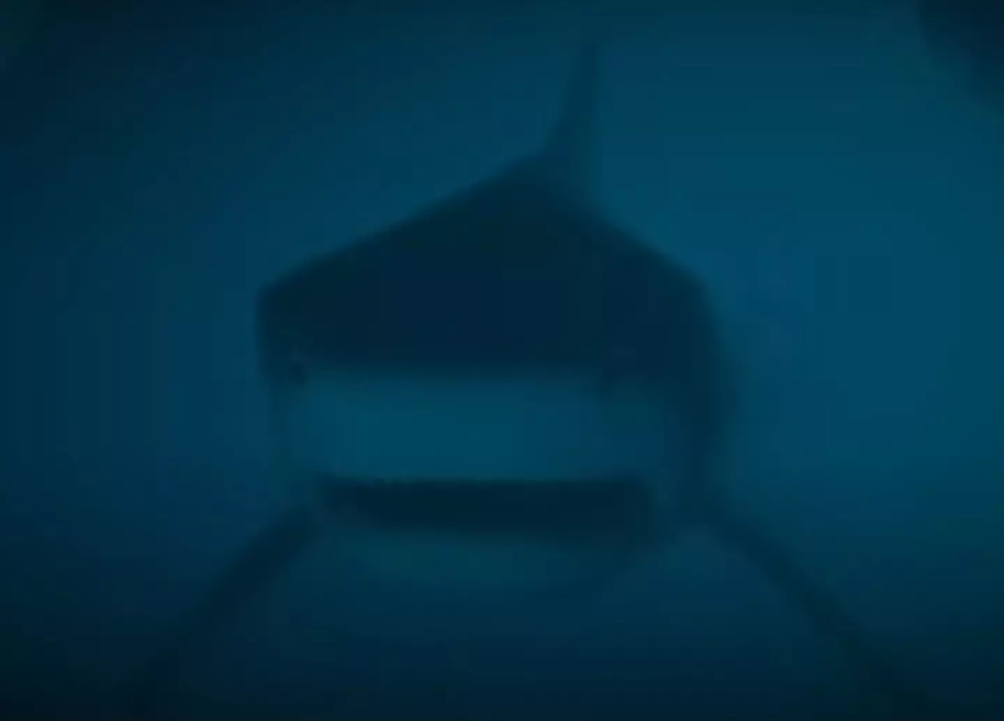 "Hey losers, what's going on in here?"