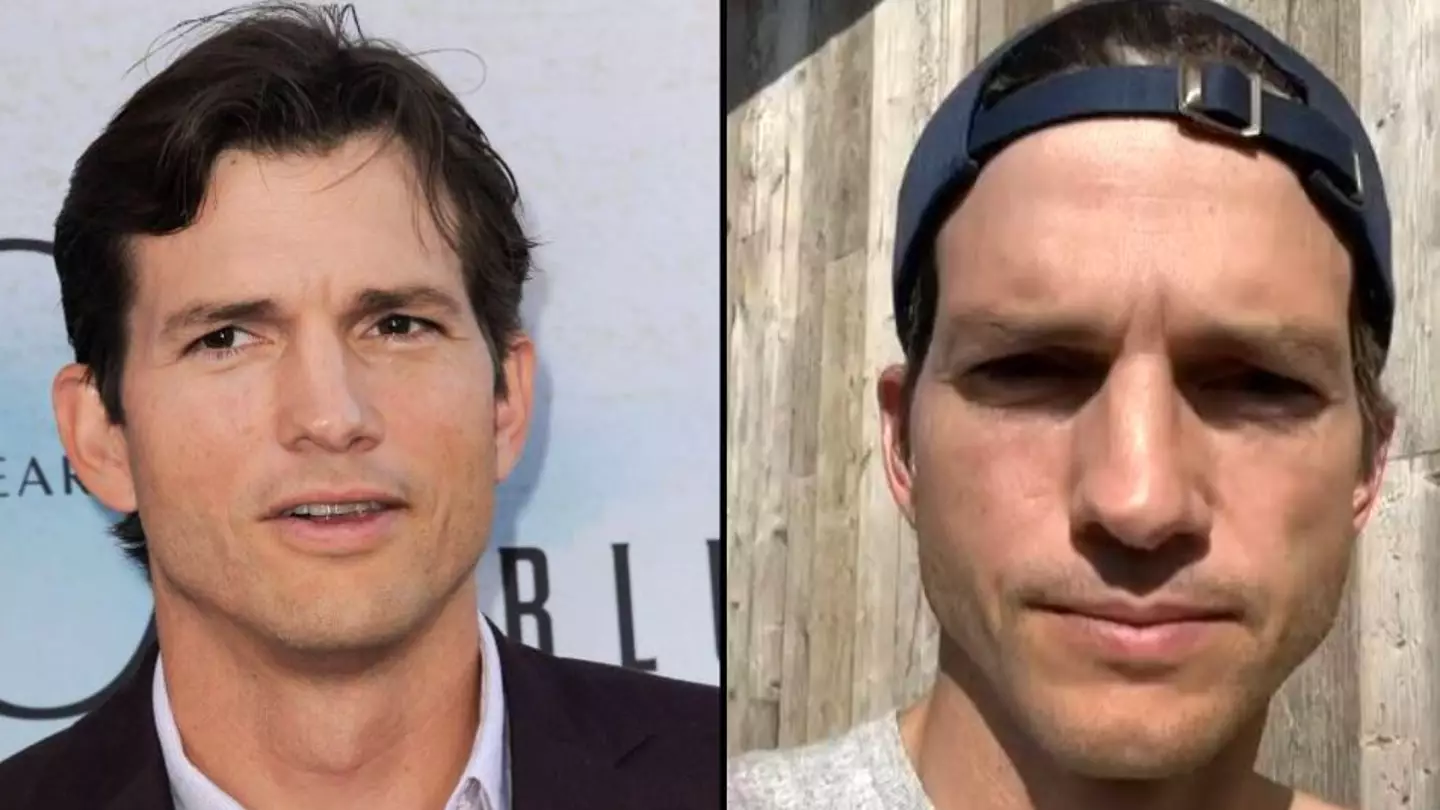 Everett Collection Inc / Alamy Stock Photo / Instagram / @aplusk