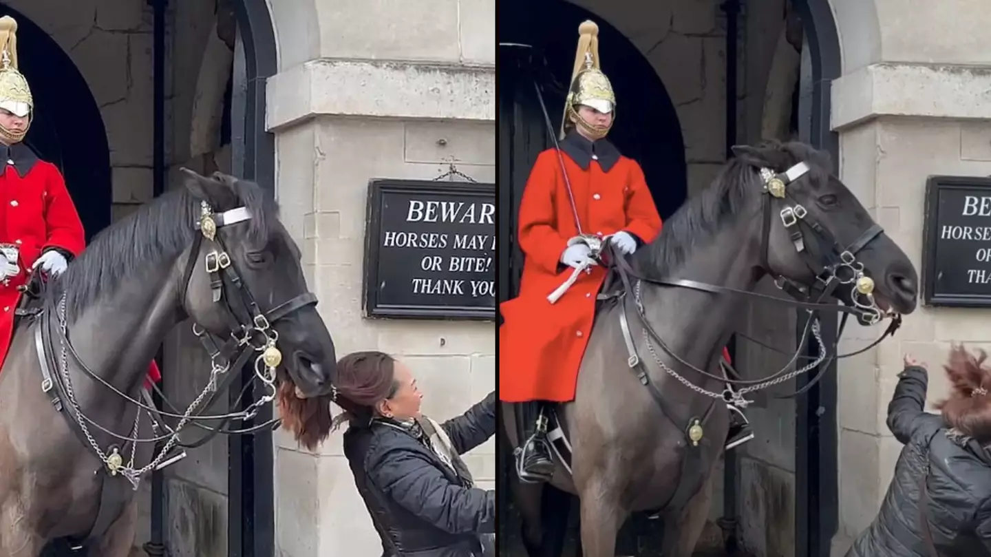 King's Guard horse bites woman's ponytail after she gets too close
