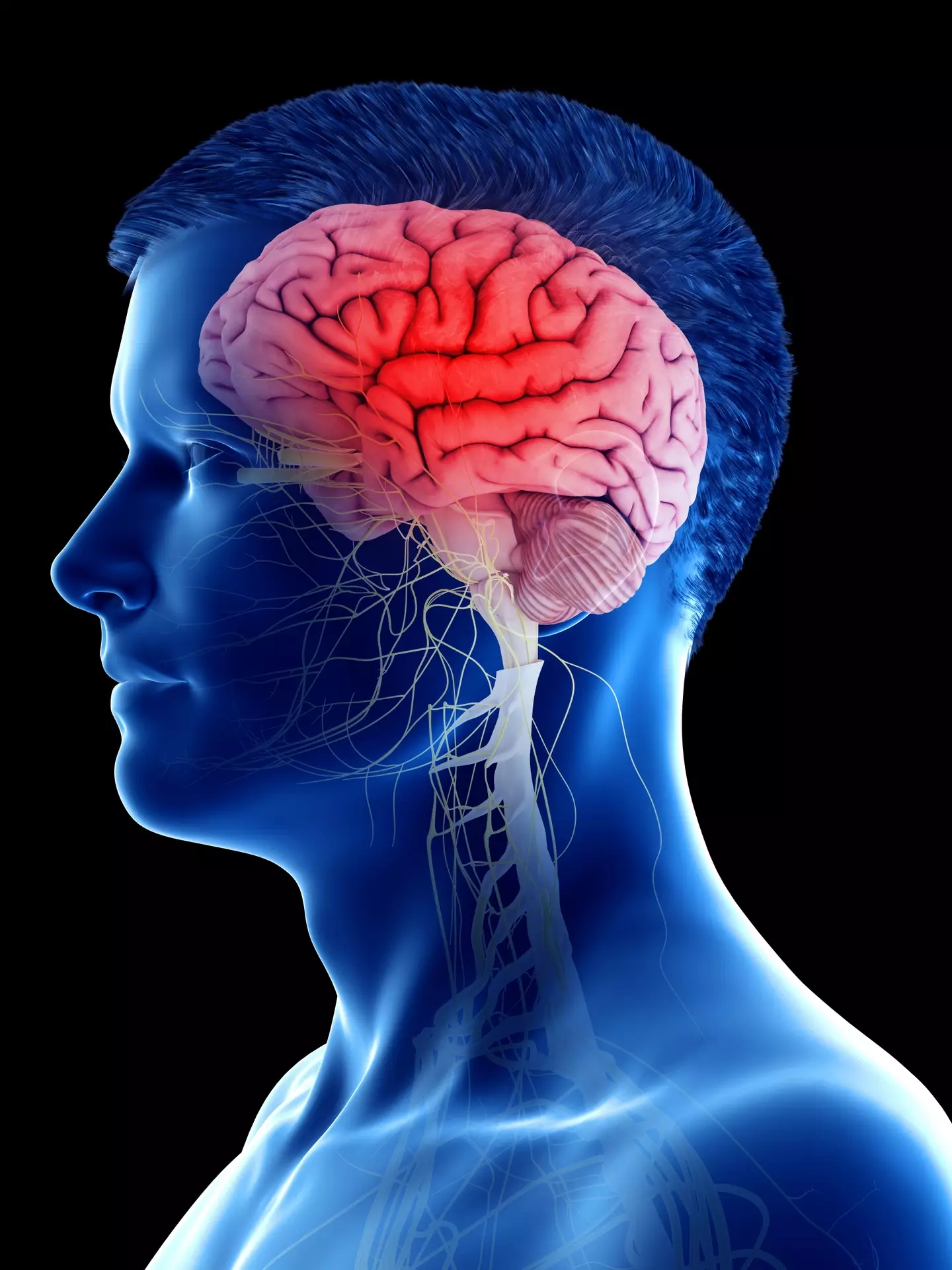 Have you ever wondered about how the brain develops? (Getty Stock Images)