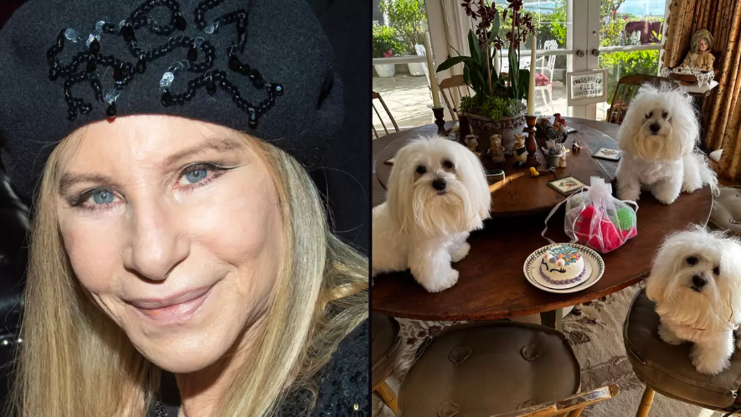Barbara Streisand gives her cloned dogs massive birthday party