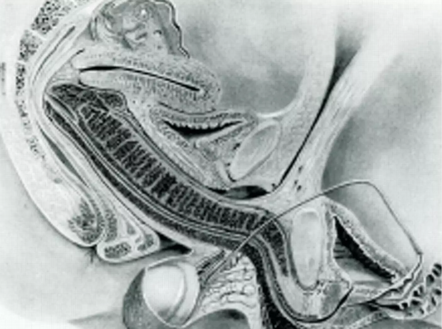 It led to a significant discovery (BMJ)