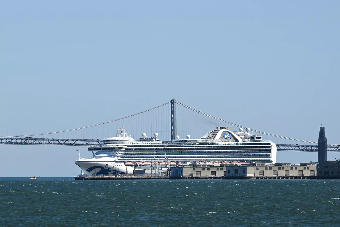 The Ruby Princess as it departed San Fransisco (Tayfun Coskun / Anadolu Agency via Getty Images)