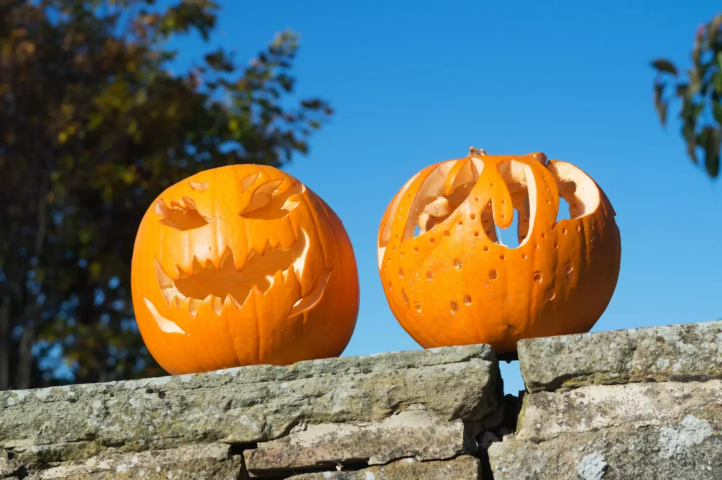 The UK could be treated to an Indian Summer ahead of Halloween because of an 'African plume' of air.