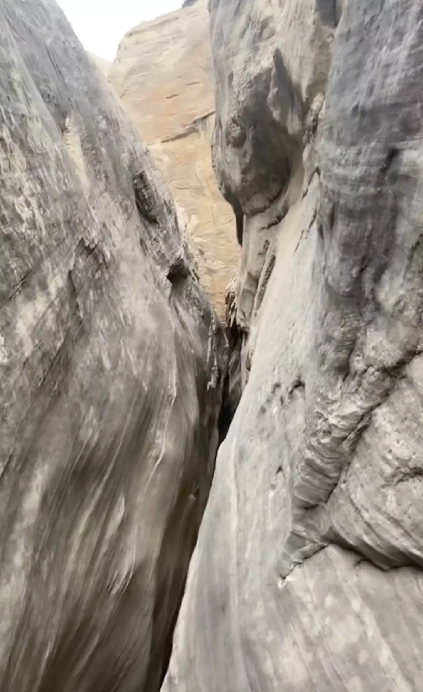 The canyoneer and her pal became trapped for 13 hours while exploring Arizona's Wildcat Tank Canyon. (TikTok/@elfy647)