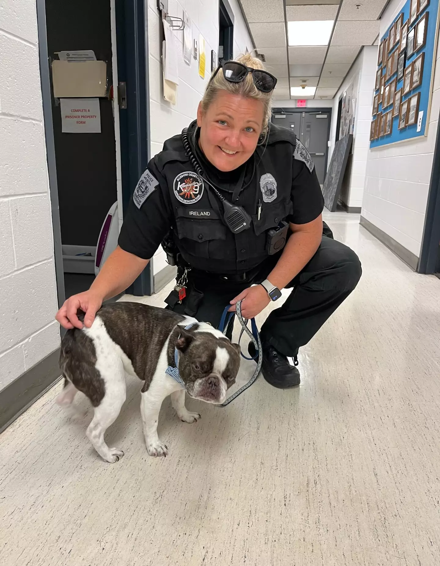 The dog was found unattended in a stroller at Pittsburgh International Airport.