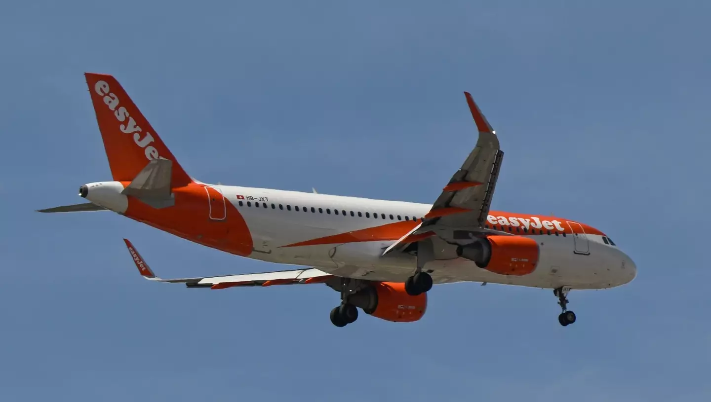 The pilot reported the incident the day afterwards and was stood down, an investigation is ongoing (Horacio Villalobos/Corbis/Corbis via Getty Images)