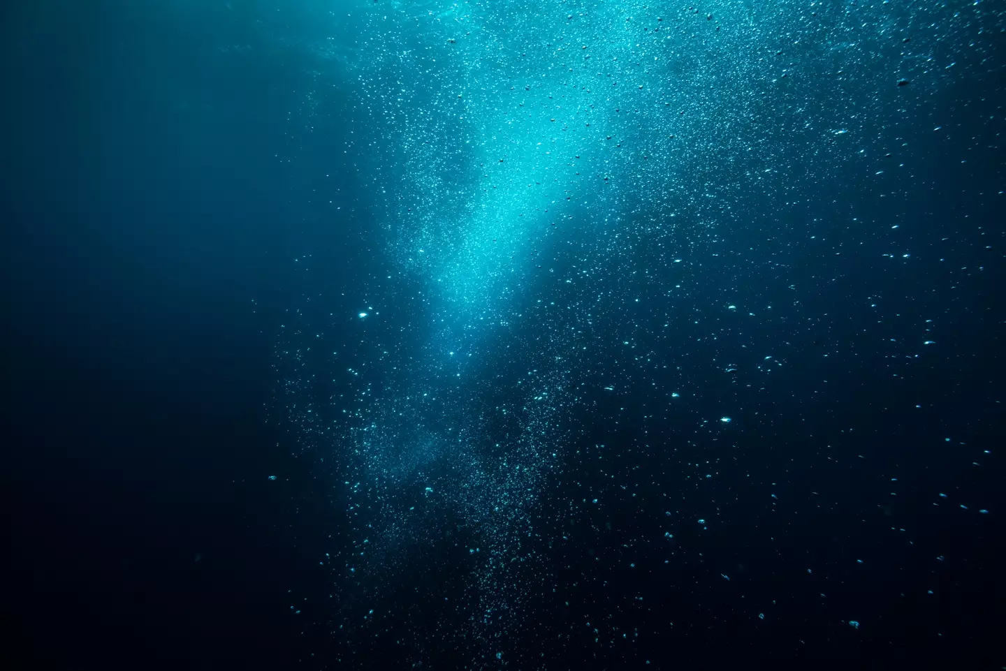 The footage has left viewers 'terrified' of the deep sea (Getty Stock Image)