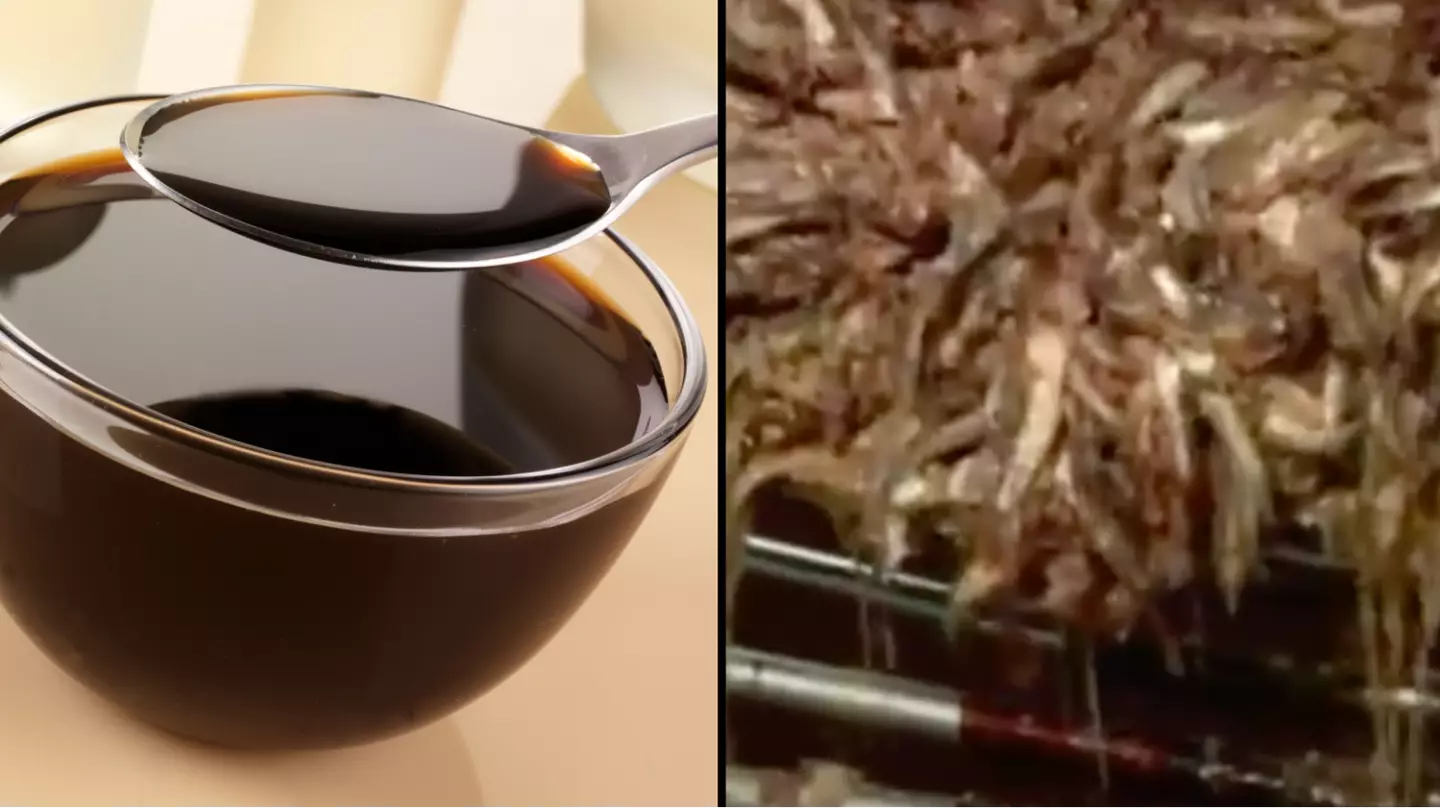 People 'don't think they can eat' Worcestershire sauce again after seeing how it's made