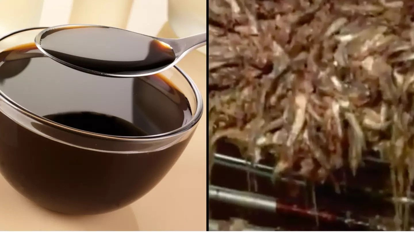foodfolio / Alamy / YouTube/How It’s Made Show
